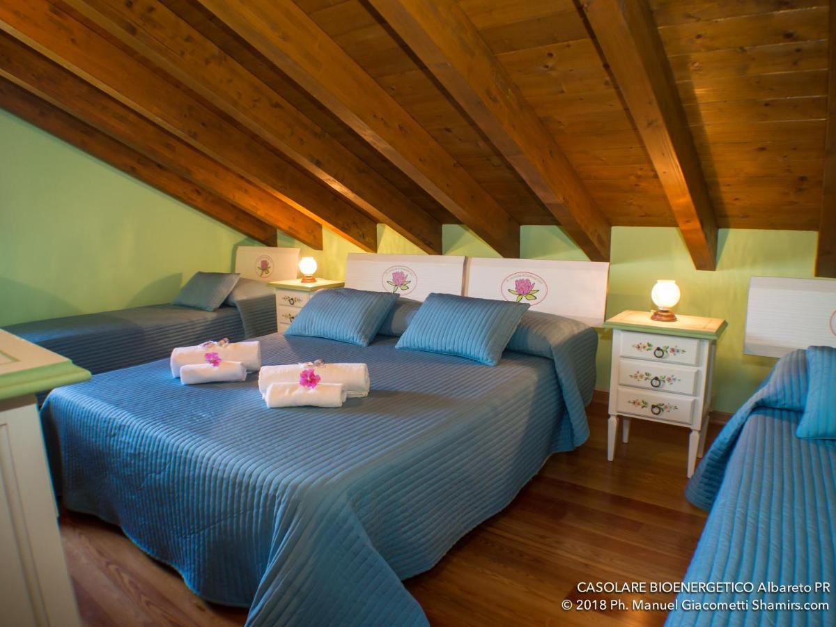 Bed and Breakfast Il Casolare Bioenergetico Albareto  Exteriér fotografie