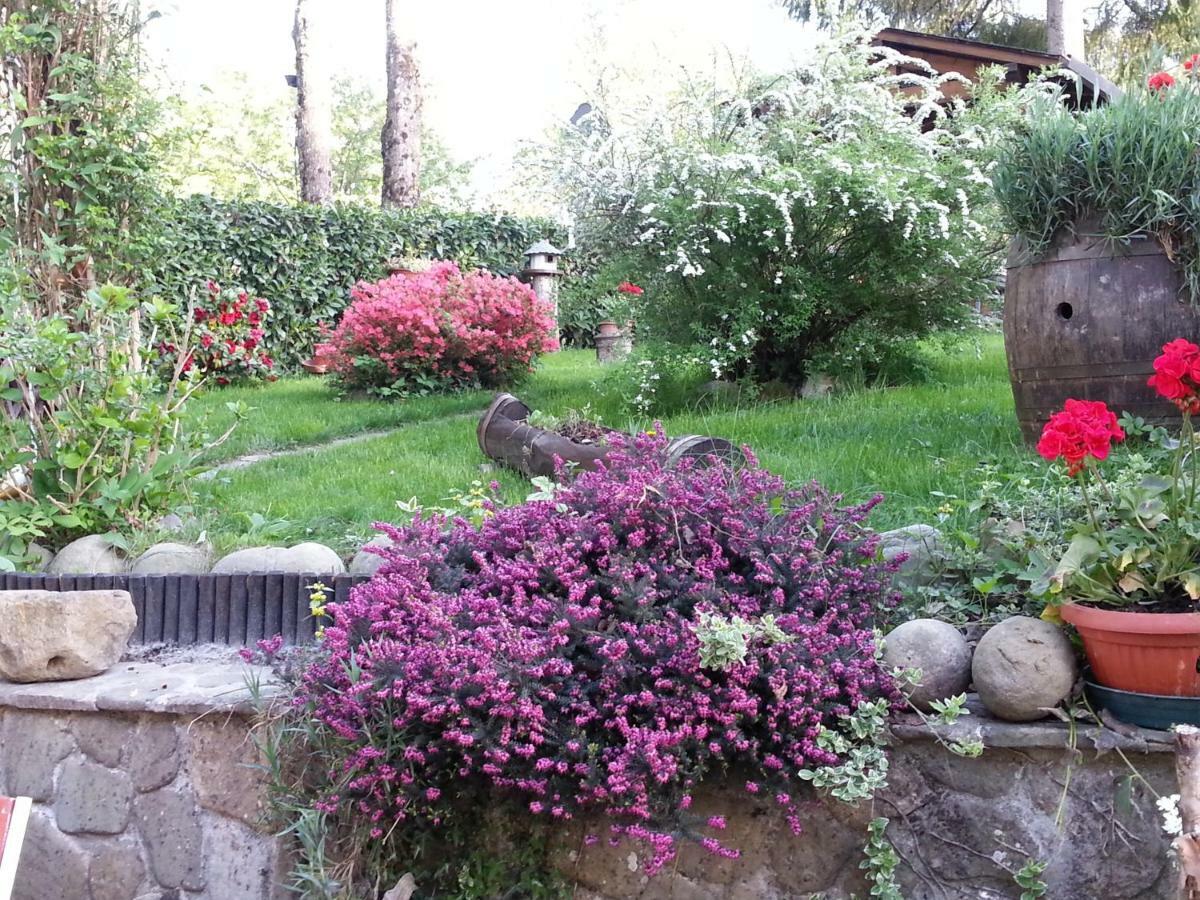 Bed and Breakfast Il Casolare Bioenergetico Albareto  Exteriér fotografie